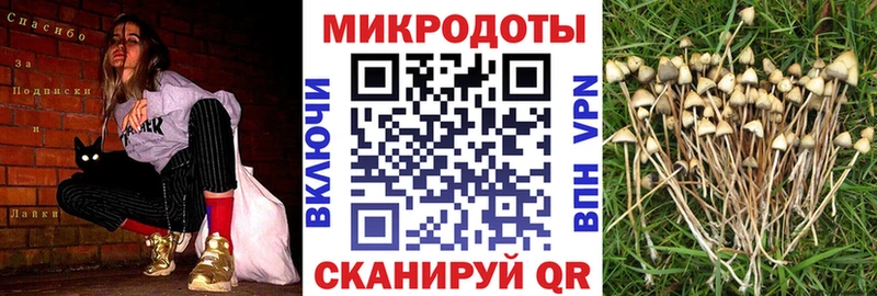 Галлюциногенные грибы ЛСД  купить  сайты  Нефтекумск 
